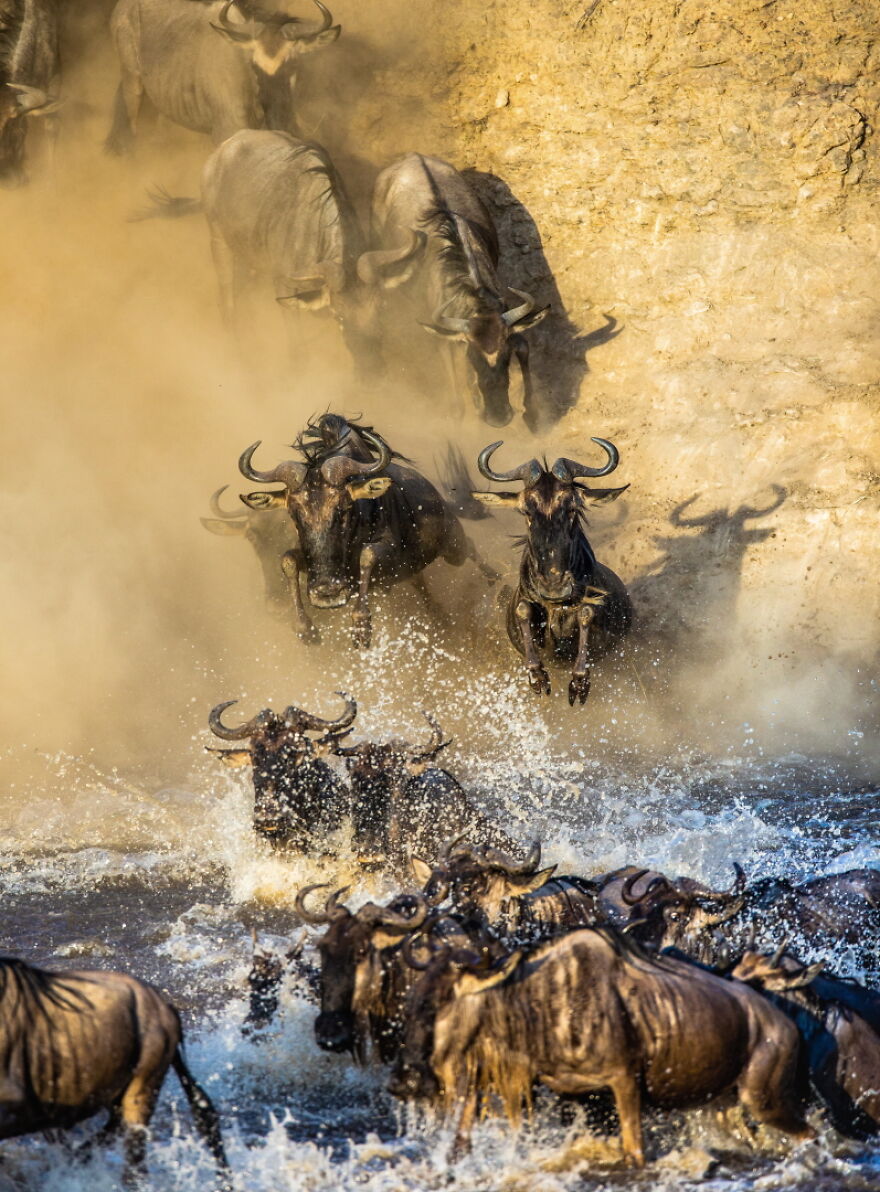 What Makes A Photographer: 8 Visual Artists On Their Path To Becoming A Photographer