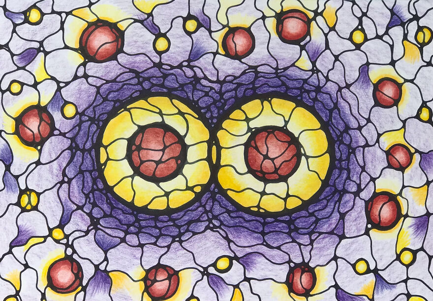 Gemini - Conception, Development, Separation And Going Out.