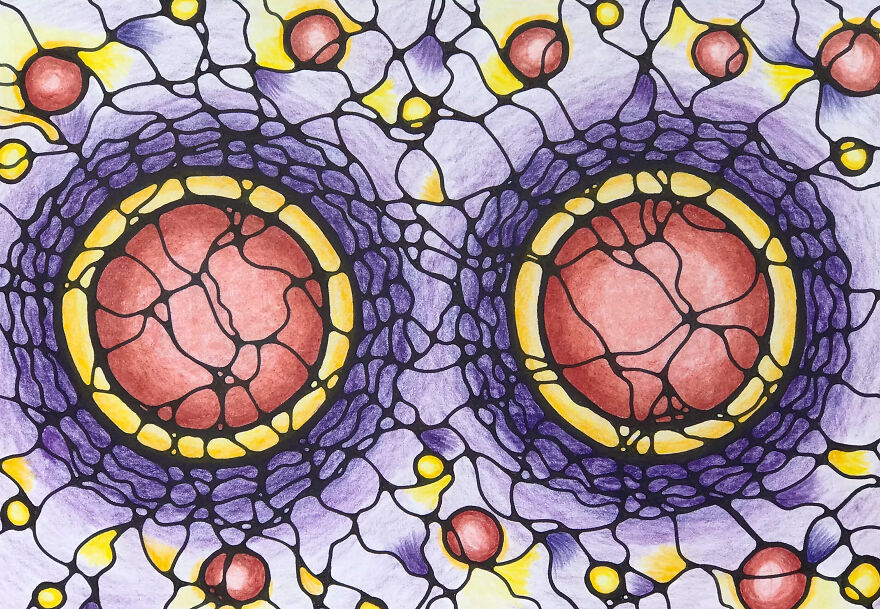 Gemini - Conception, Development, Separation And Going Out.