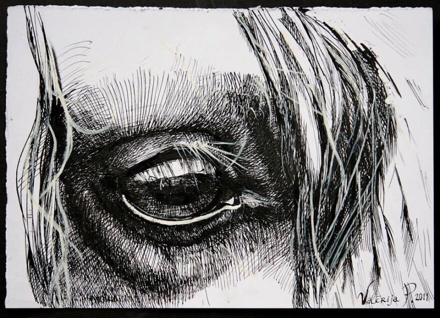 Healing With Art And Nature: An Artist From Florence Express Her Passion For Horses Through Artwork