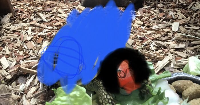 I Want To Speak To You Manager!!!!