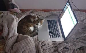 Hey Pandas, Post Your Coziest Autumn Photos (Closed)