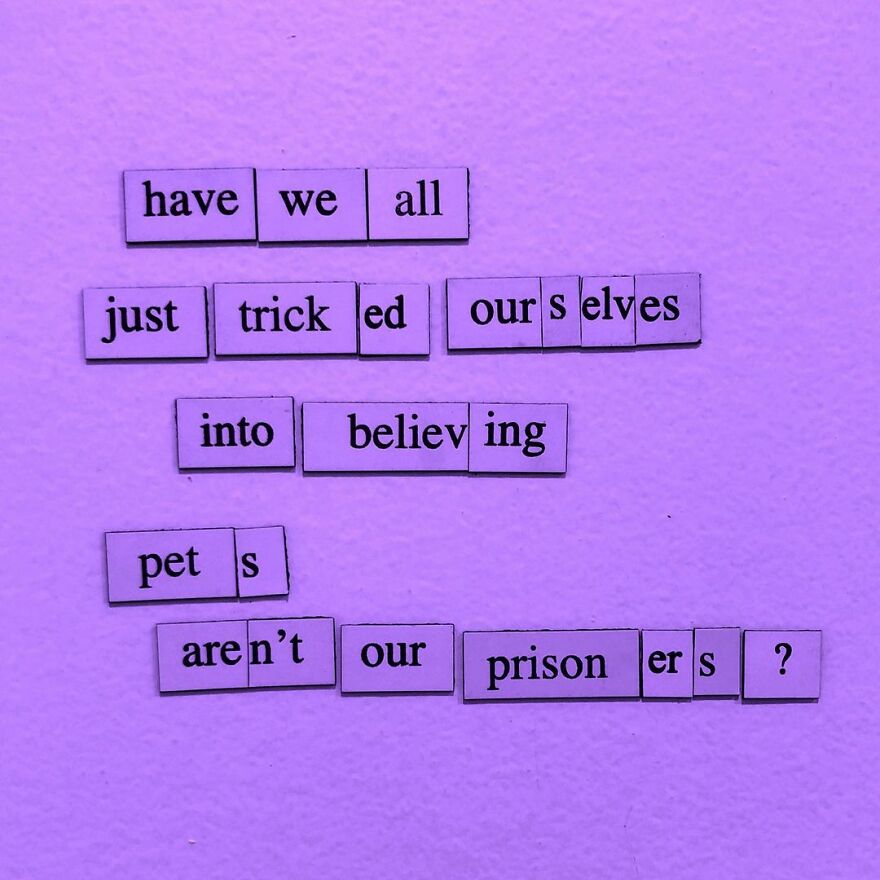 I Write Sad Fridge Magnet Poems To Bum Out My Friends