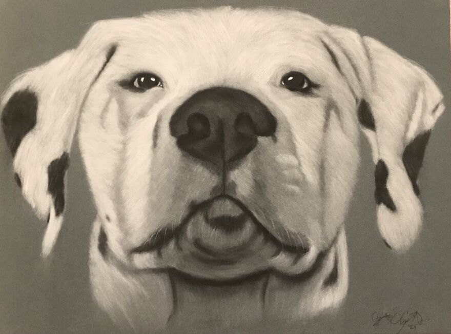 I Discovered My Hidden Talent (13 Pics)