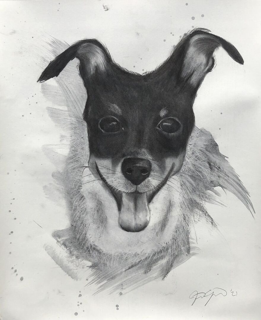 I Discovered My Hidden Talent (13 Pics)