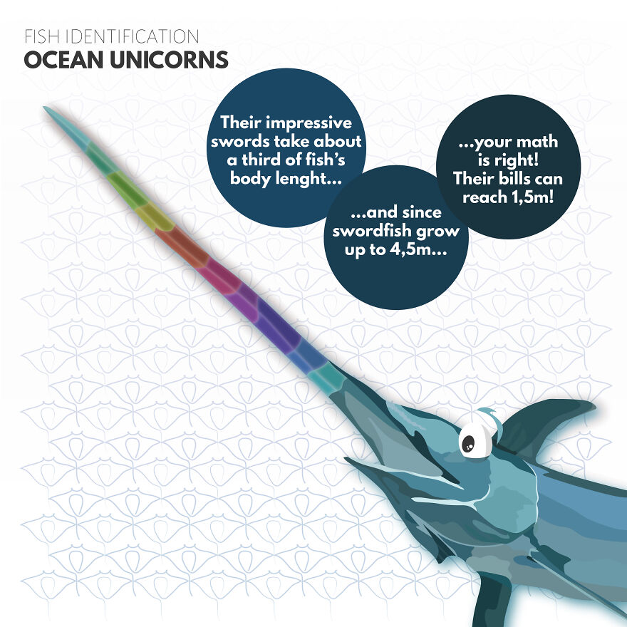 I Illustrate Incredible Marine Life Facts With A Fun Twist I Illustrate Incredible Marine Life Facts With A Fun Twist