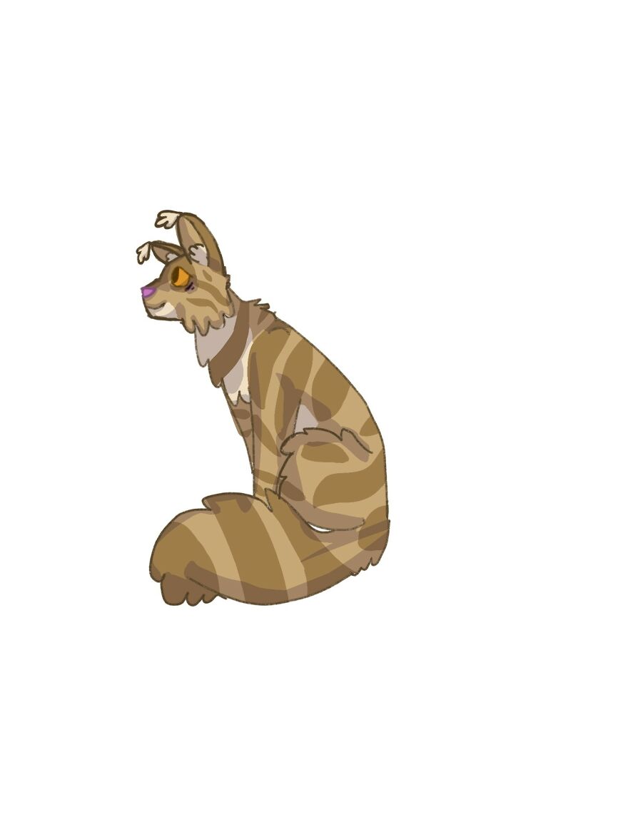 I Love To Draw Animals - Here Are My Favourites