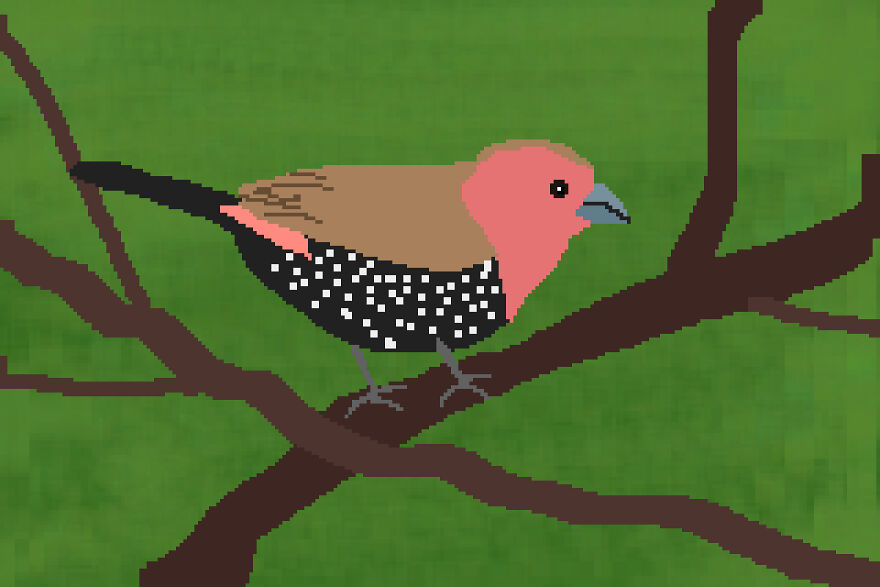 I Make Pixel Art Birds For Fun, Here Are Some Of My Favorites.