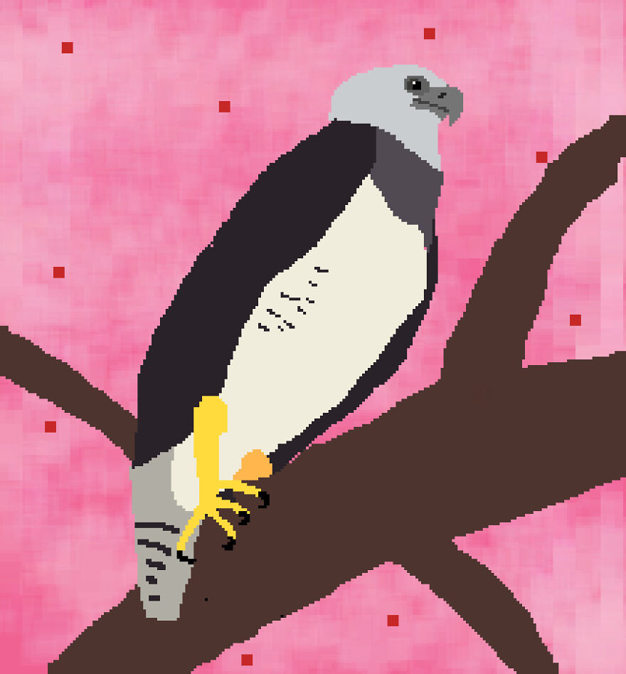 I Make Pixel Art Birds For Fun, Here Are Some Of My Favorites.