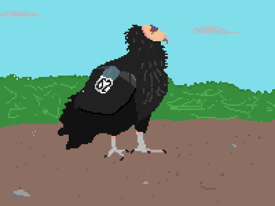 I Make Pixel Art Birds For Fun, Here Are Some Of My Favorites.