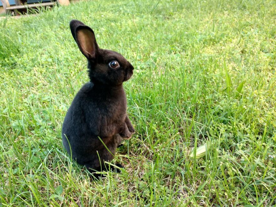 My Bun As A Baby... He Was So Cute