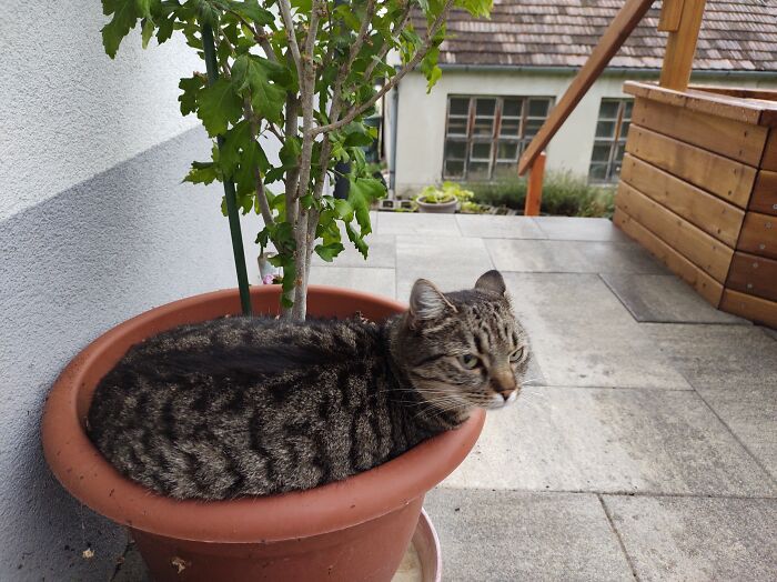 Nothing To See Here, Go Ahead!