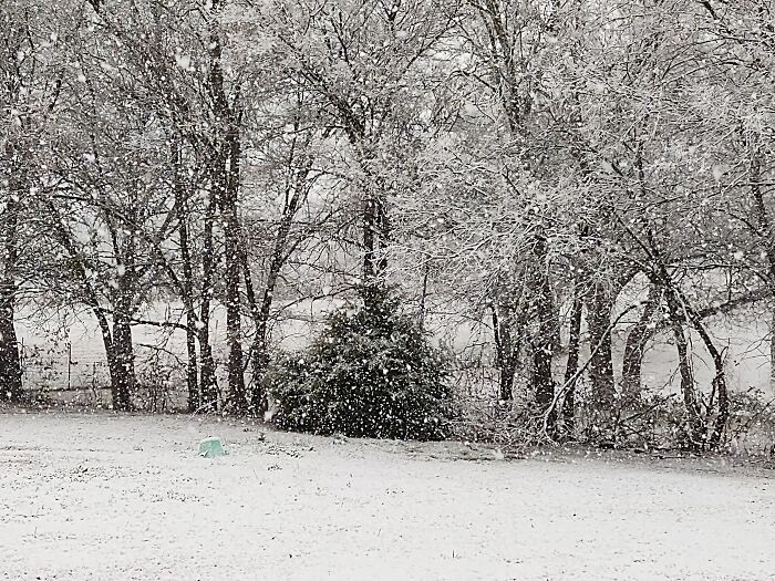 The Beginning Of Texas Freeze 2021 At My House