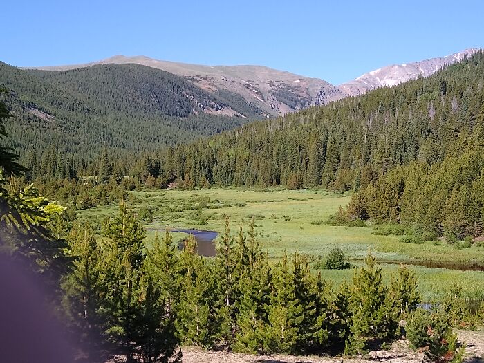 Camping With My Family In Colorado