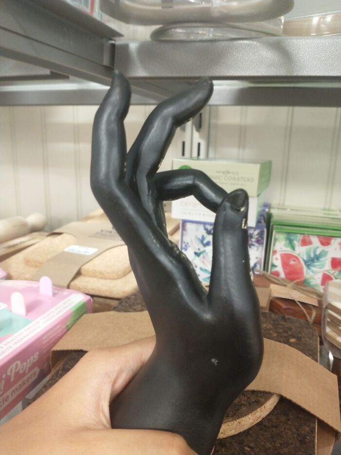 The Opportunity Was To Good To Pass Up