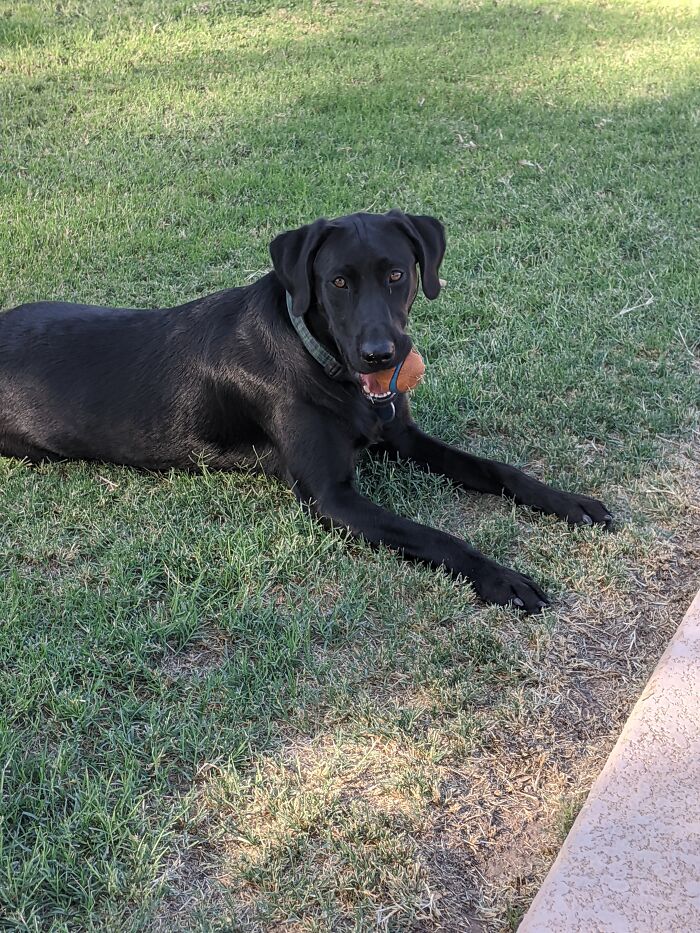 My Doggo! Love Him To Pieces!