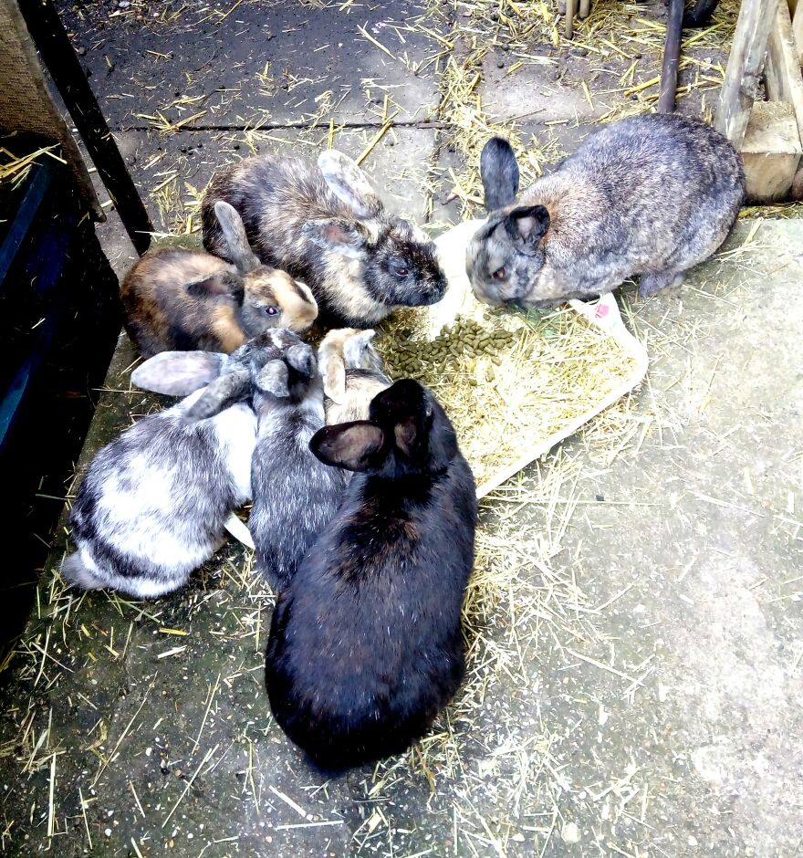 Some Of My Comedic Kids!