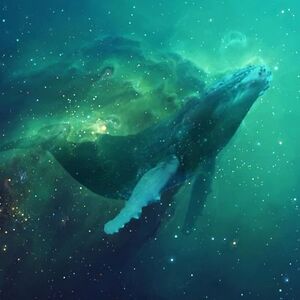 toabhishekverma avatar