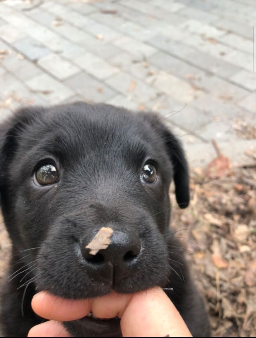 My Girlfriend Take This Picture For Me....