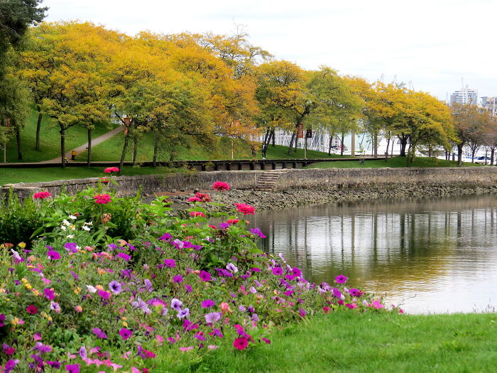 Peaceful Autumn Afternoon, Colors And Aroma Therapy 😍