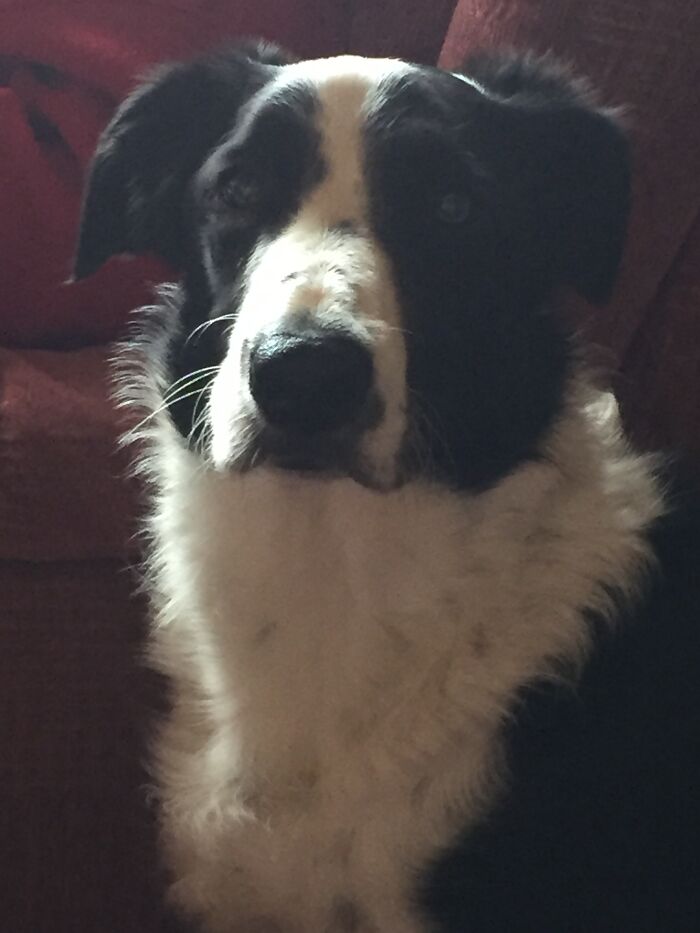 Far Far From A Mere "Item" My Beautiful Shilo Is The Most Important Thing In M Y Life