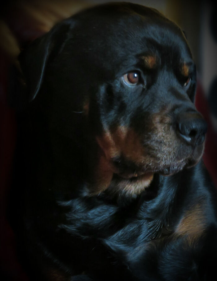 Toby, Just Thinking About Things.