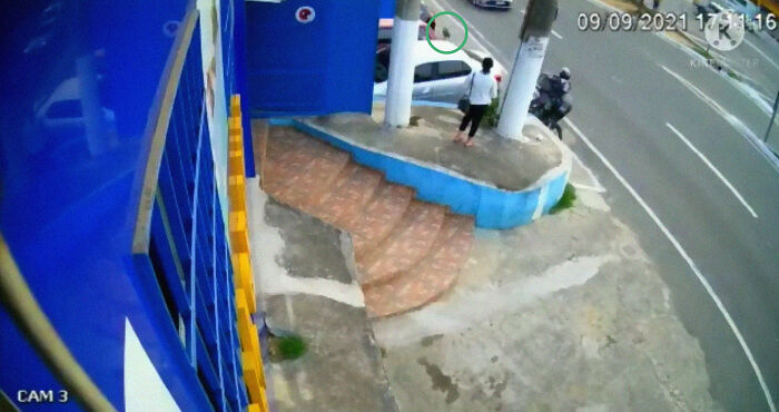 This Dog Dad Waited Outside A Vet Clinic While The Mother Gave Birth To 6 Puppies