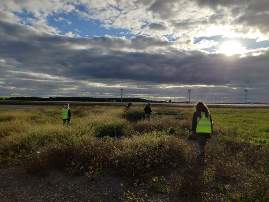 After A Week Of Public Outrage And Volunteer Search Parties, The Dog That Got Lost At The Airport Finally Got Found