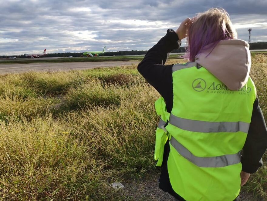 After A Week Of Public Outrage And Volunteer Search Parties, The Dog That Got Lost At The Airport Finally Got Found