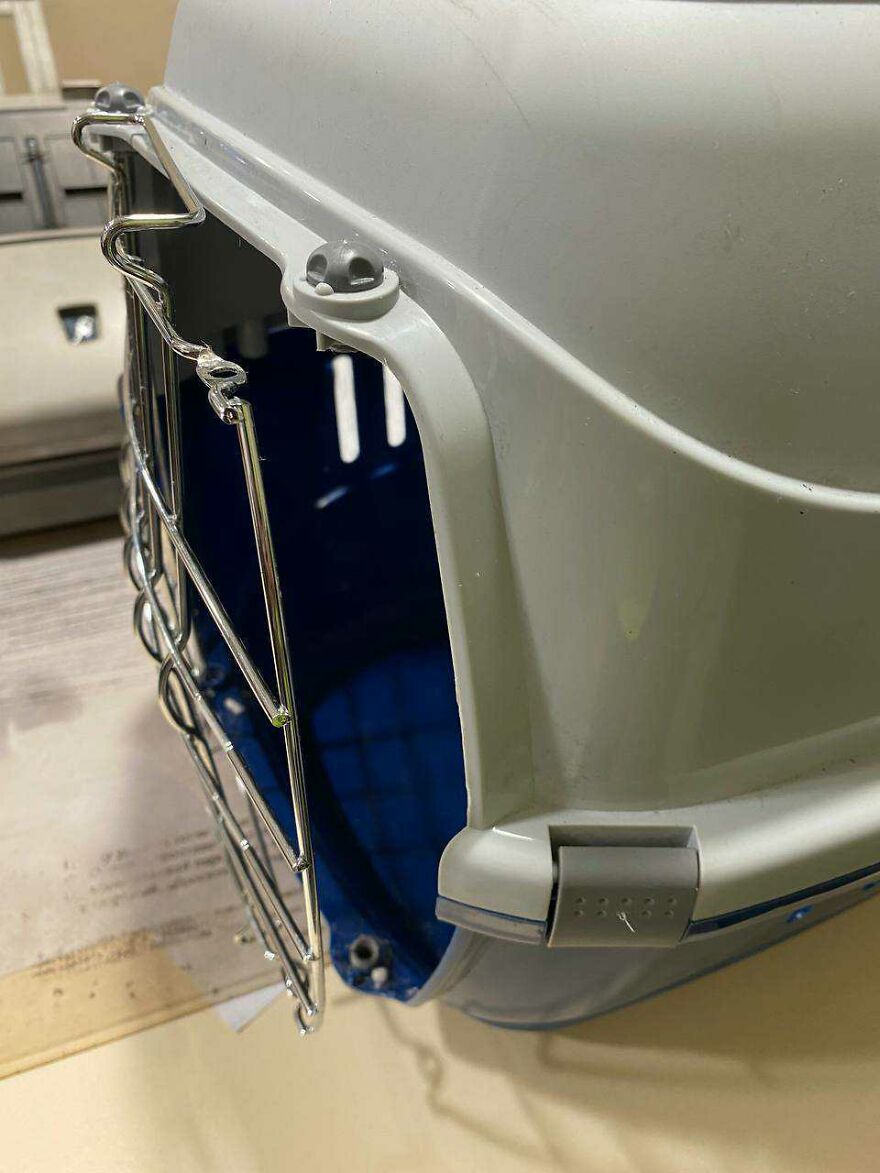 After A Week Of Public Outrage And Volunteer Search Parties, The Dog That Got Lost At The Airport Finally Got Found