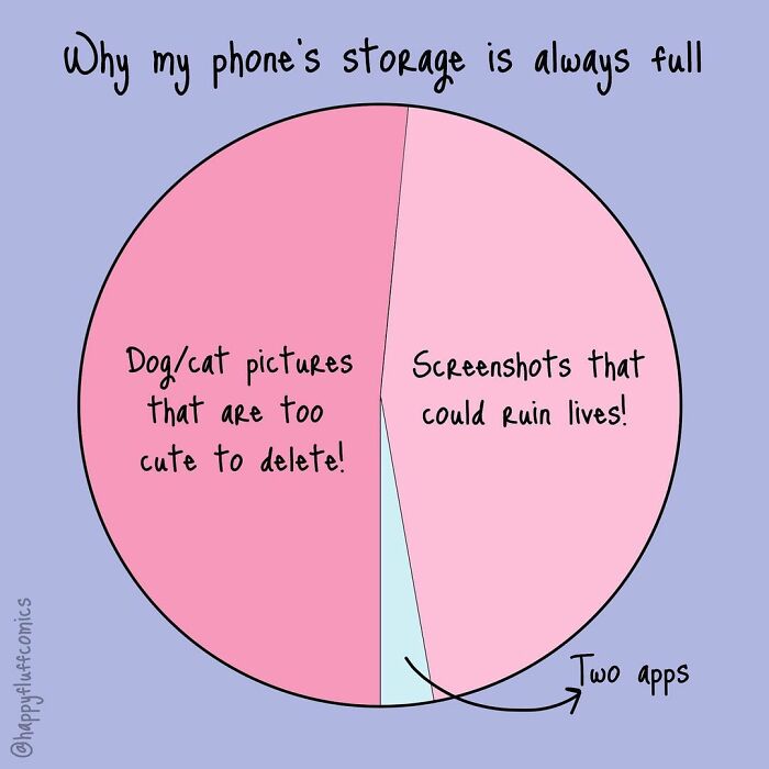 Pie chart illustration showing reasons for full phone storage: dog/cat pictures, important screenshots, and two apps, in daily life struggles.