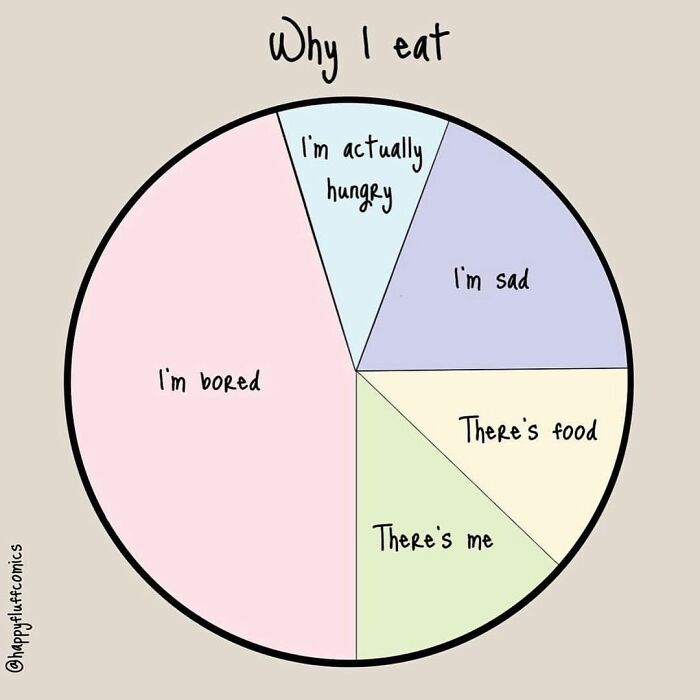 Pie chart illustration by artist showing reasons for eating, including boredom, sadness, hunger, and availability of food.
