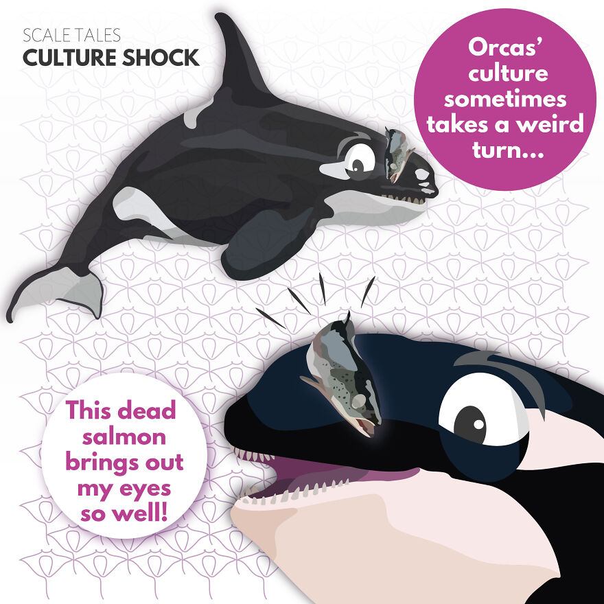 I Illustrate Incredible Marine Life Facts With A Fun Twist I Illustrate Incredible Marine Life Facts With A Fun Twist