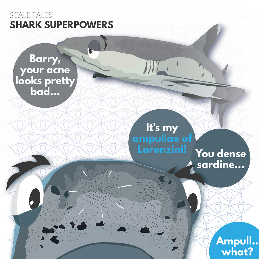 I Illustrate Incredible Marine Life Facts With A Fun Twist I Illustrate Incredible Marine Life Facts With A Fun Twist