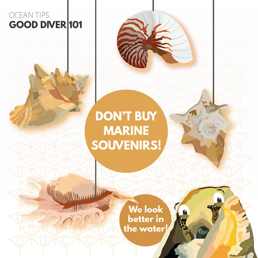 I Illustrate Incredible Marine Life Facts With A Fun Twist I Illustrate Incredible Marine Life Facts With A Fun Twist