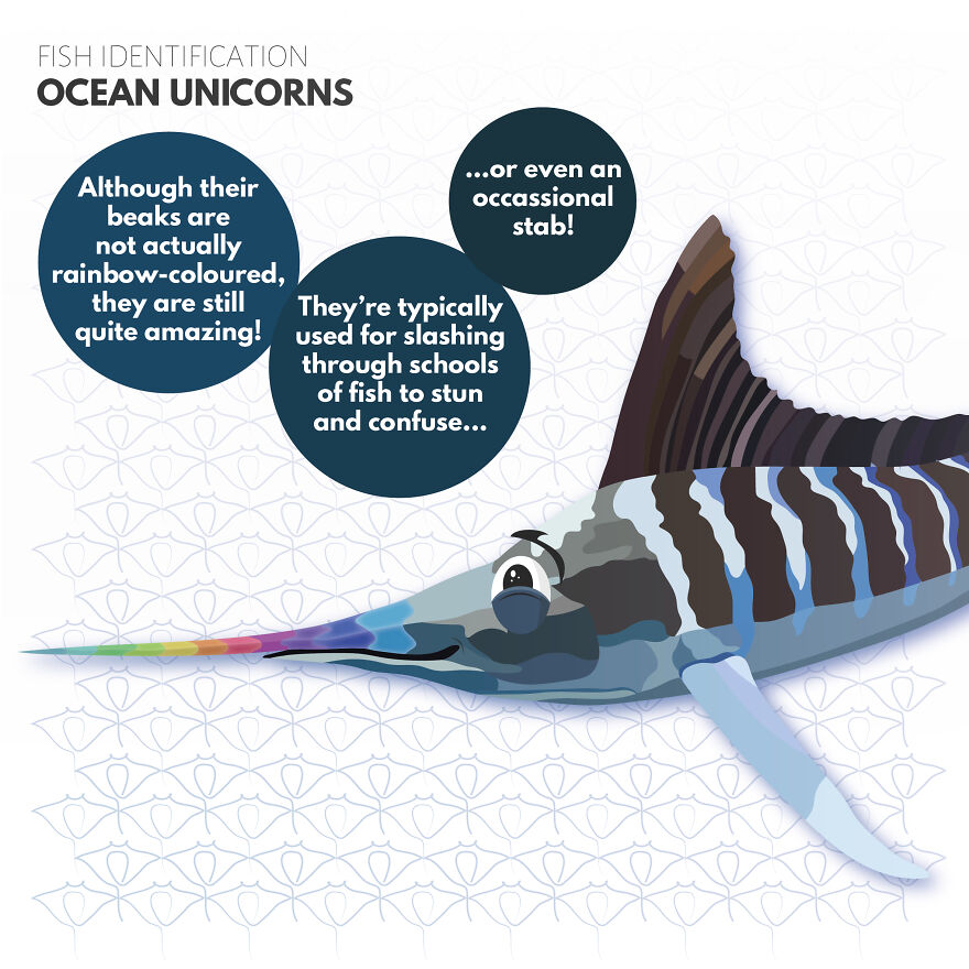I Illustrate Incredible Marine Life Facts With A Fun Twist I Illustrate Incredible Marine Life Facts With A Fun Twist