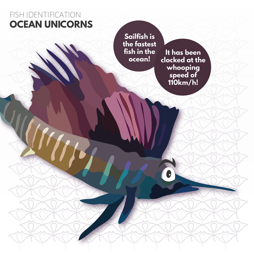 I Illustrate Incredible Marine Life Facts With A Fun Twist I Illustrate Incredible Marine Life Facts With A Fun Twist