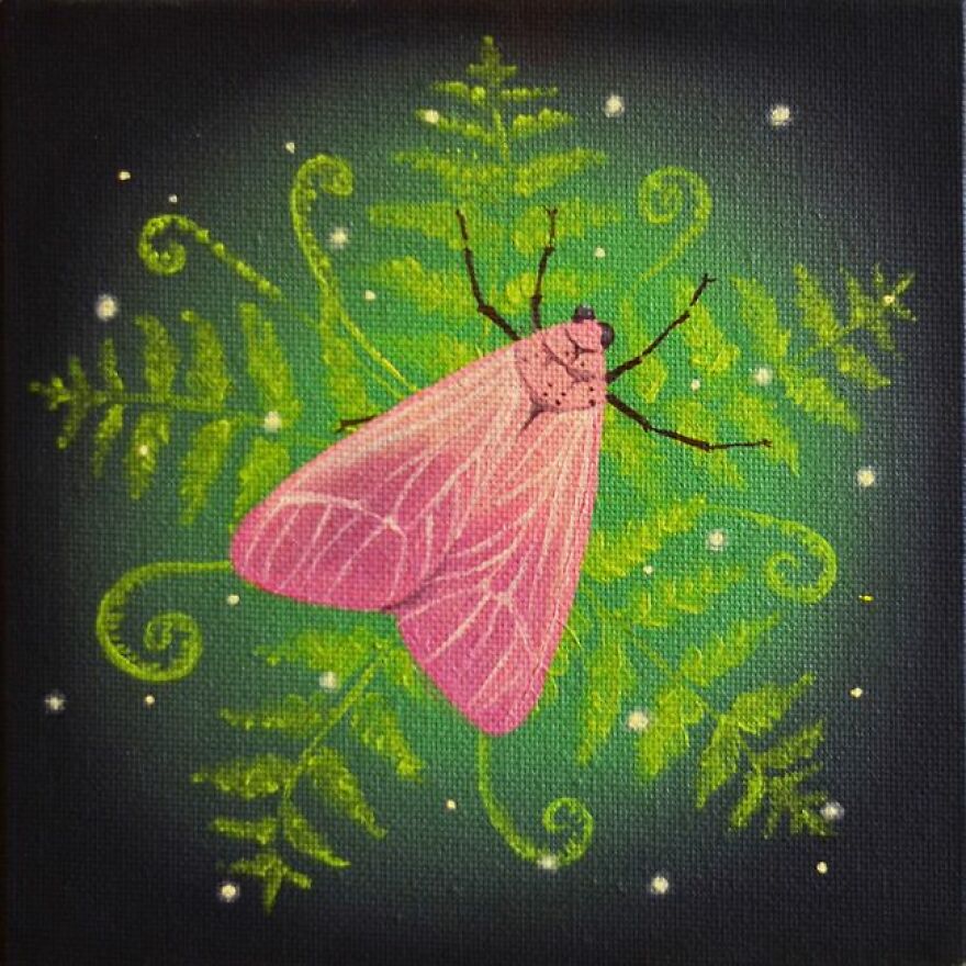 Atmospheric Moth Among The Ferns