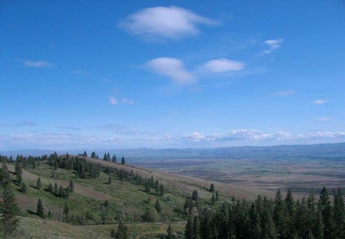 Kittitas Valley, Wa Taken From Lions Rock