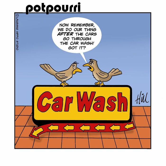 Two birds perched on a car wash sign with one reminding the other about their plan after the cars go through.