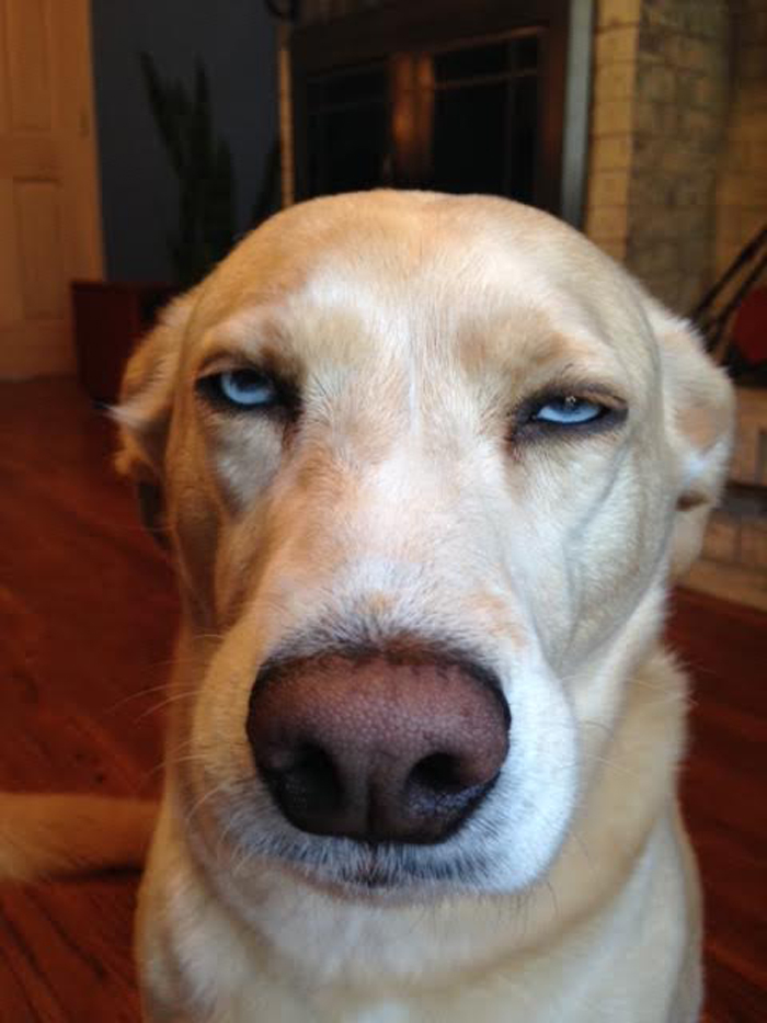 One Is Not Amused...