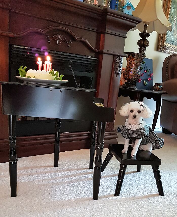 Our Precious Girl Who Just Turned 10 Recently! Presenting: Miss. Maggie Lou Freebush!