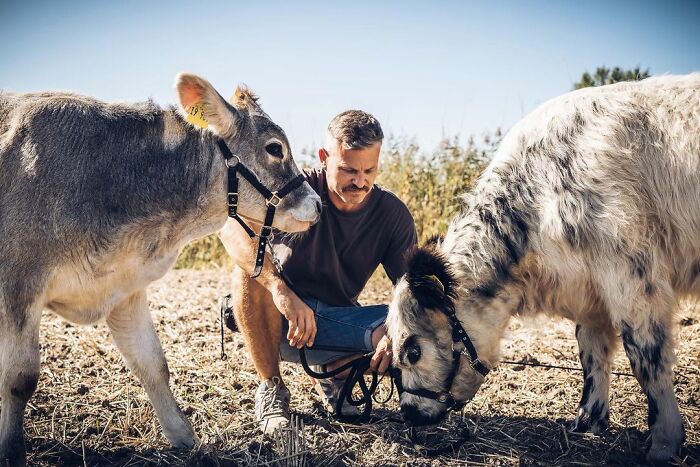 Farm Animals Are Not Just Food And This Man Proves That Farm Animals Are Not Just Food And This Man Proves That