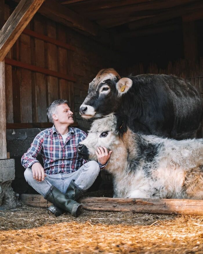 Farm Animals Are Not Just Food And This Man Proves That Farm Animals Are Not Just Food And This Man Proves That