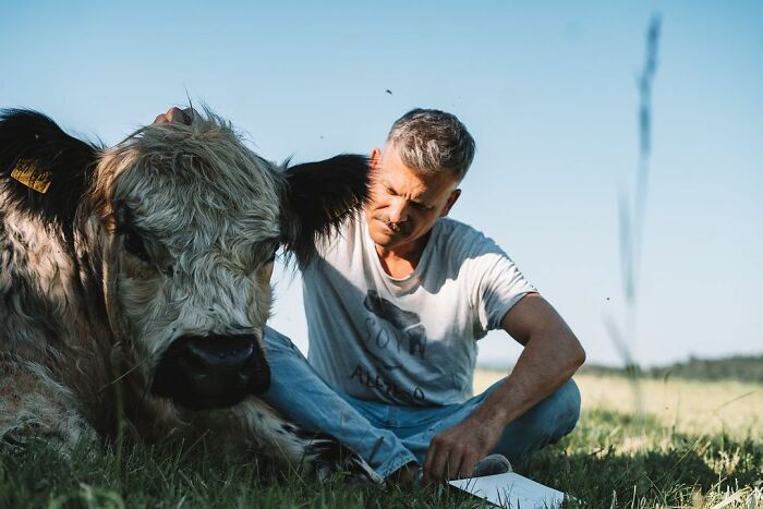 Farm Animals Are Not Just Food And This Man Proves That Farm Animals Are Not Just Food And This Man Proves That