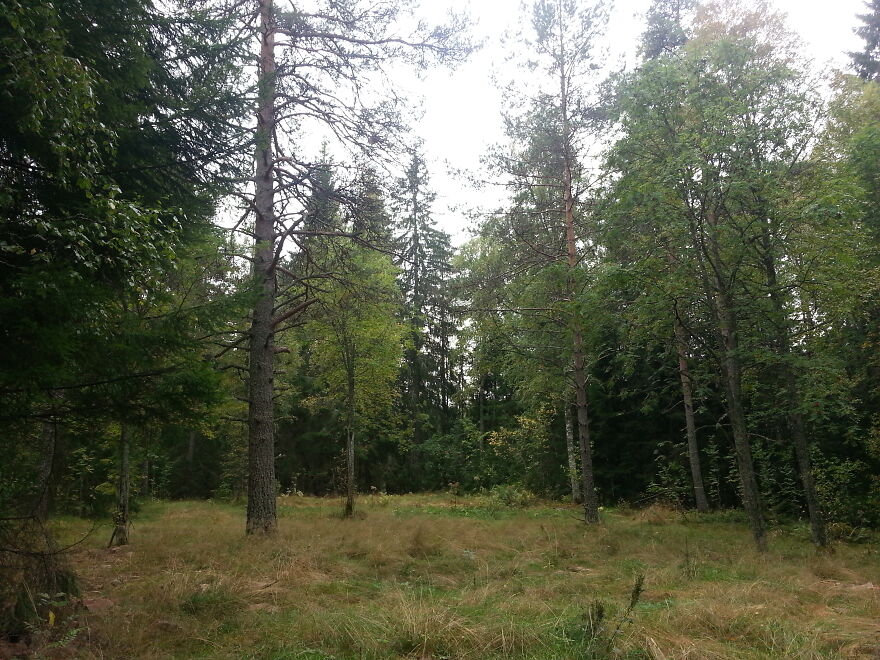 Nature Nature