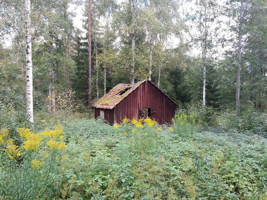 Nature Nature