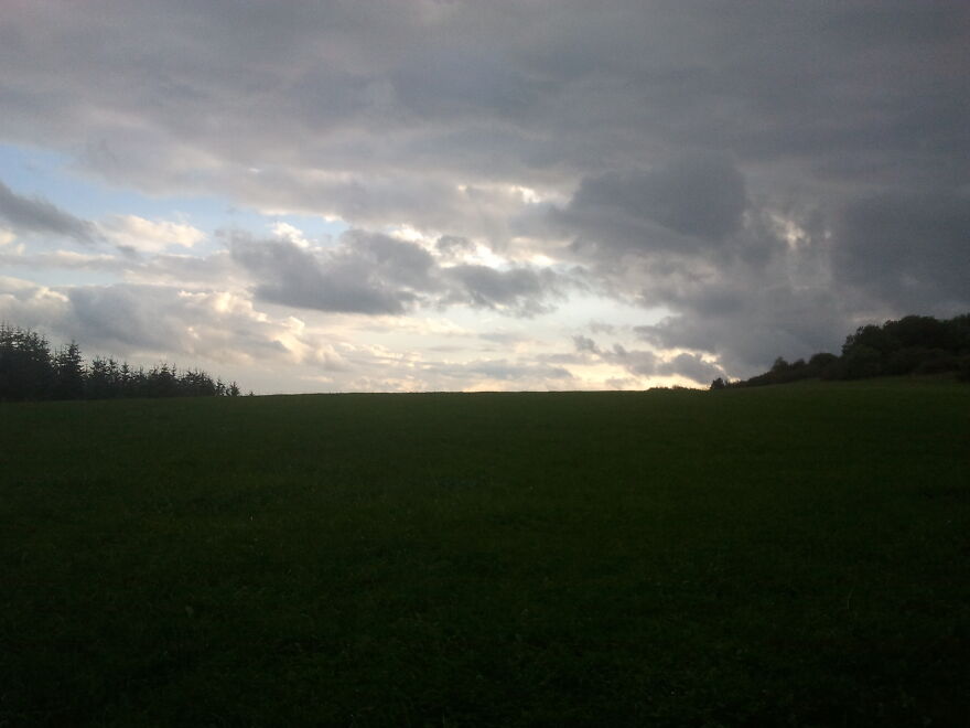Nature Nature