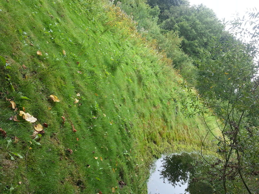 Nature Nature