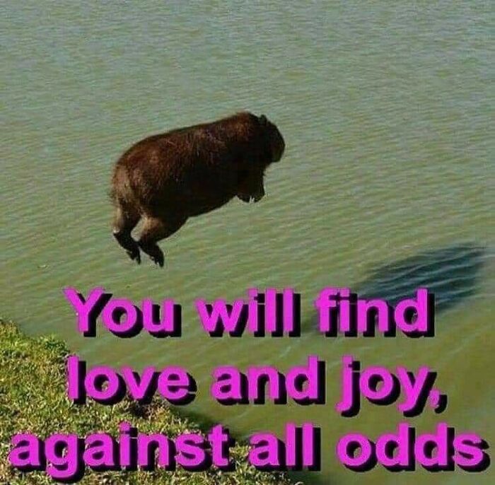 Ominous-Positivity-Memes-2021-Fall-Winter